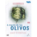 A TRAVES DE LOS OLIVOS