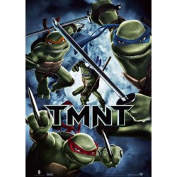 Las Tortugas ninja (2007)