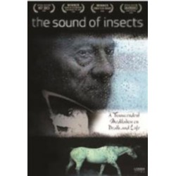 The Sound of Insects:...