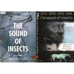 The Sound of Insects: Record of a Mummy