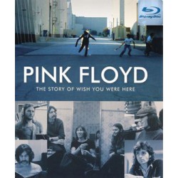 Pink Floyd Wish You Were...