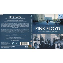 Pink Floyd Wish You Were Here - 2011