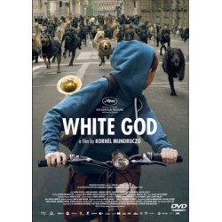 White god
